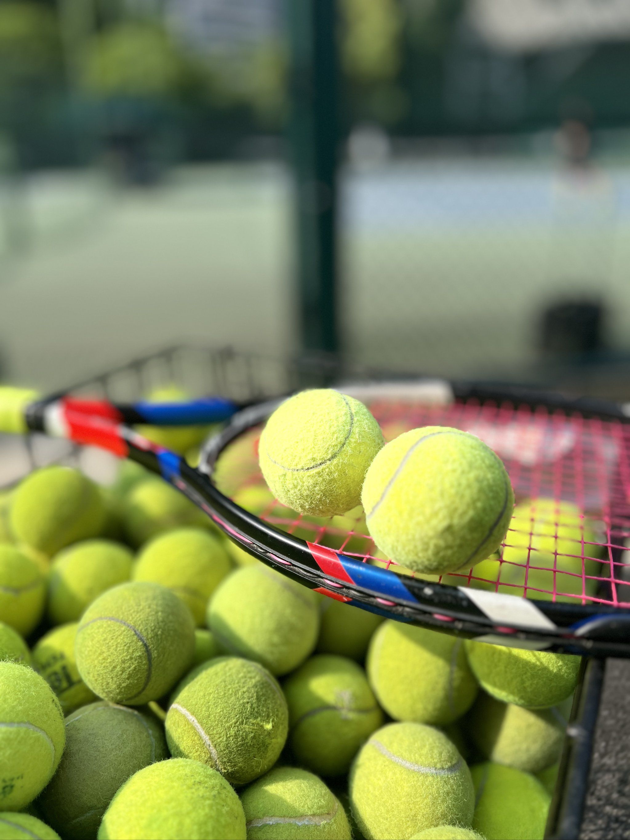 传达诚意 传达诚意